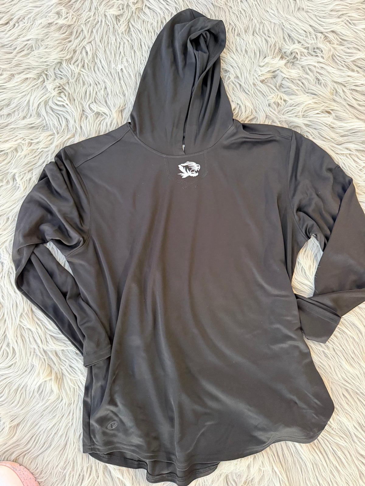 Pennant Trophy Hoodie {Princeton}
