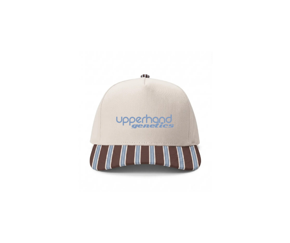 Brown/Blue Trucker Cap (Platt)
