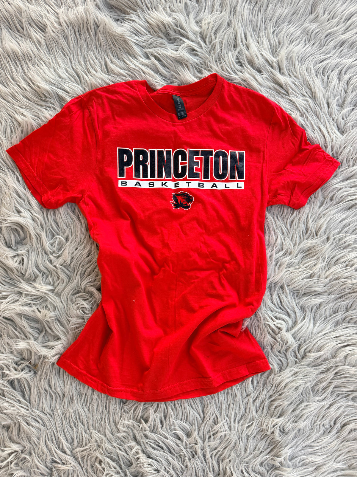 Softstyle Tee {Princeton Basketball}