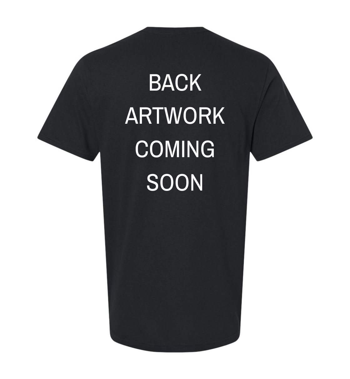 Gildan Softstyle Short Sleeve Tee {'26 Sectional Champs}