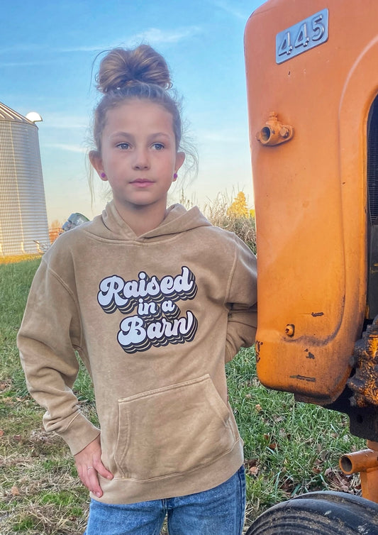 Sandstone Raised in a Barn Hoodie - Youth (More Barns)