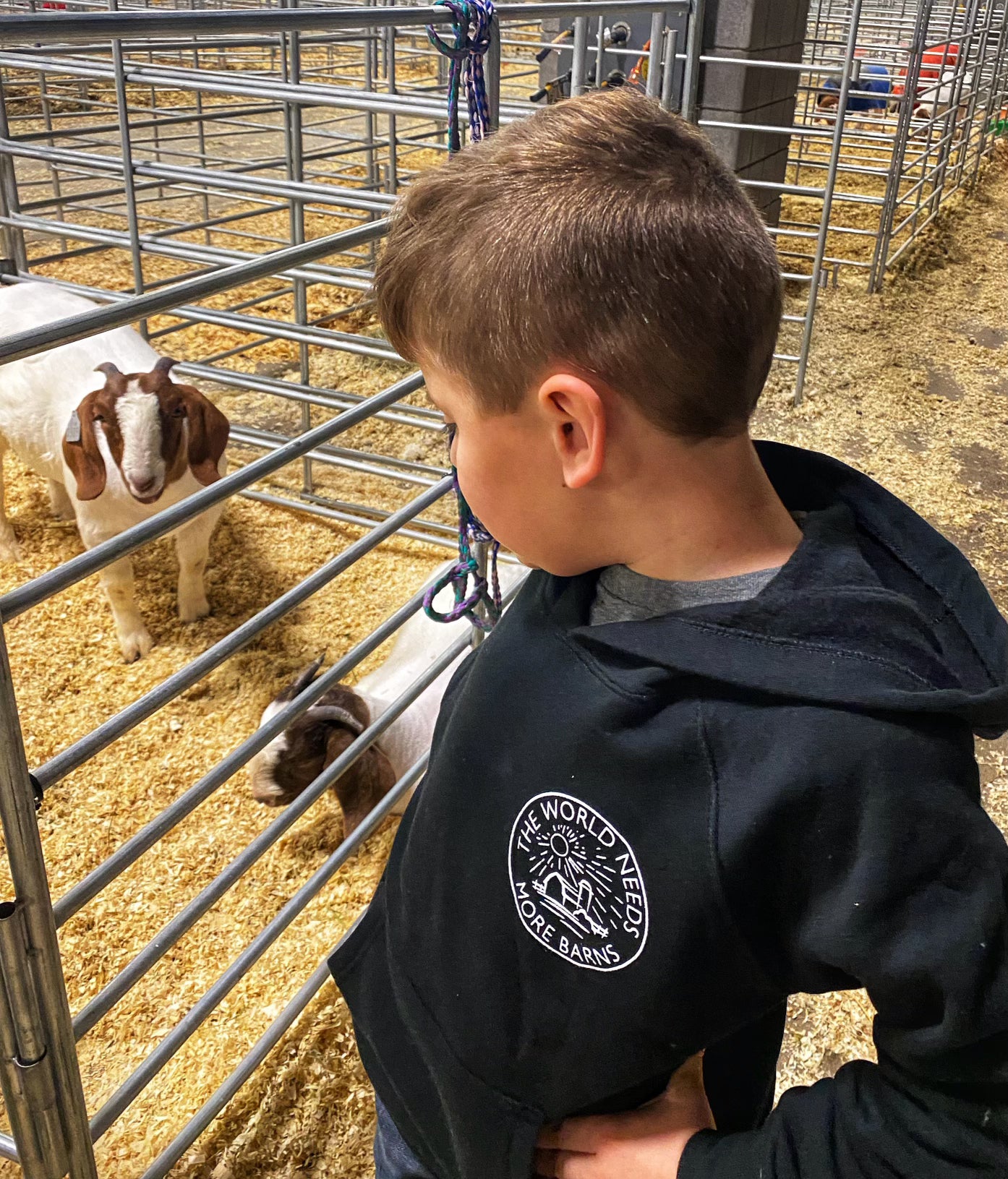 The Barn Hoodie - Adult & Youth (More Barns)