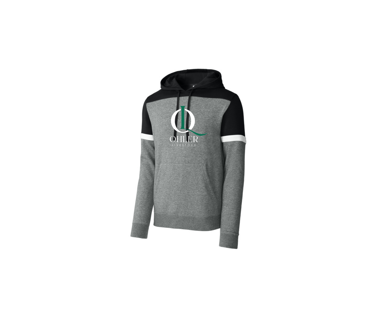 Fleece Colorblock Hooded Sweatshirt - Adult (Ohler)