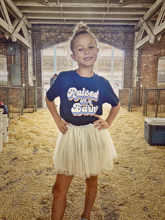 Raised in a Barn - Adult & Youth {More Barns}