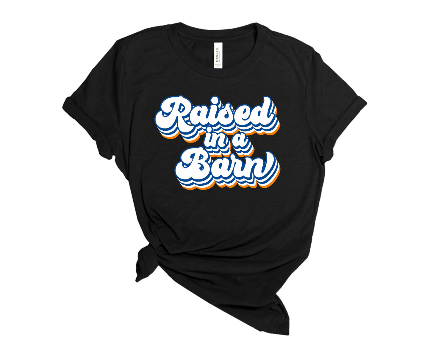Raised in a Barn - Adult & Youth {More Barns}