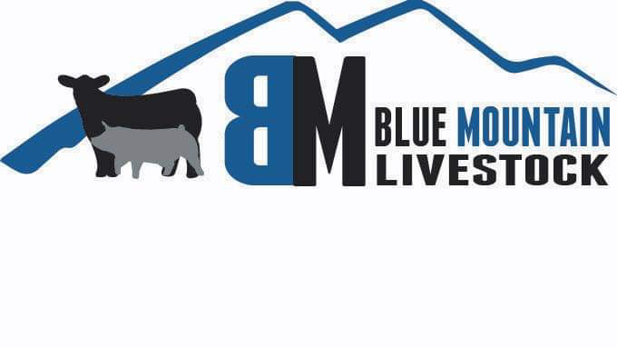 Blue Mountain Livestock PRE-ORDER Apparel Store