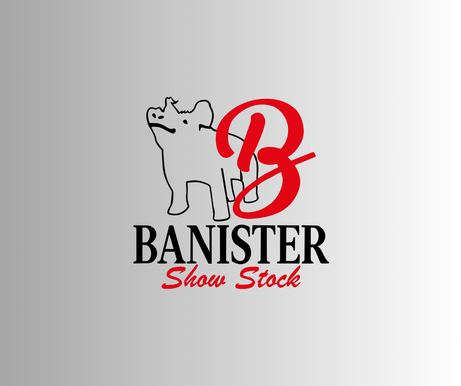 Banister Show Stock Apparel Store
