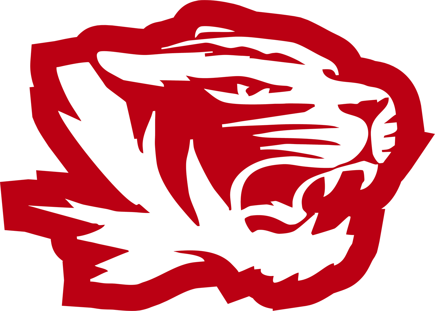 Princeton Tigers