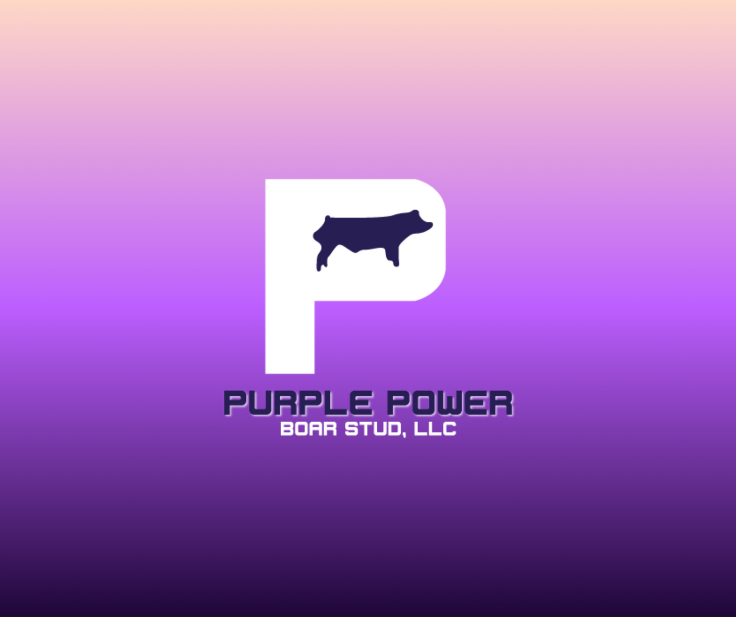 Purple Power Boar Stud Apparel Store