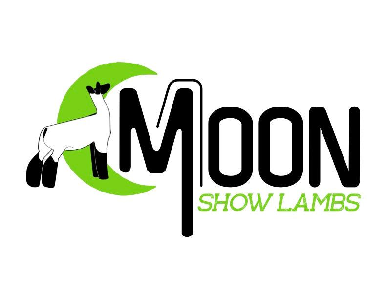 Moon Show Lambs Pre-Order Apparel Store