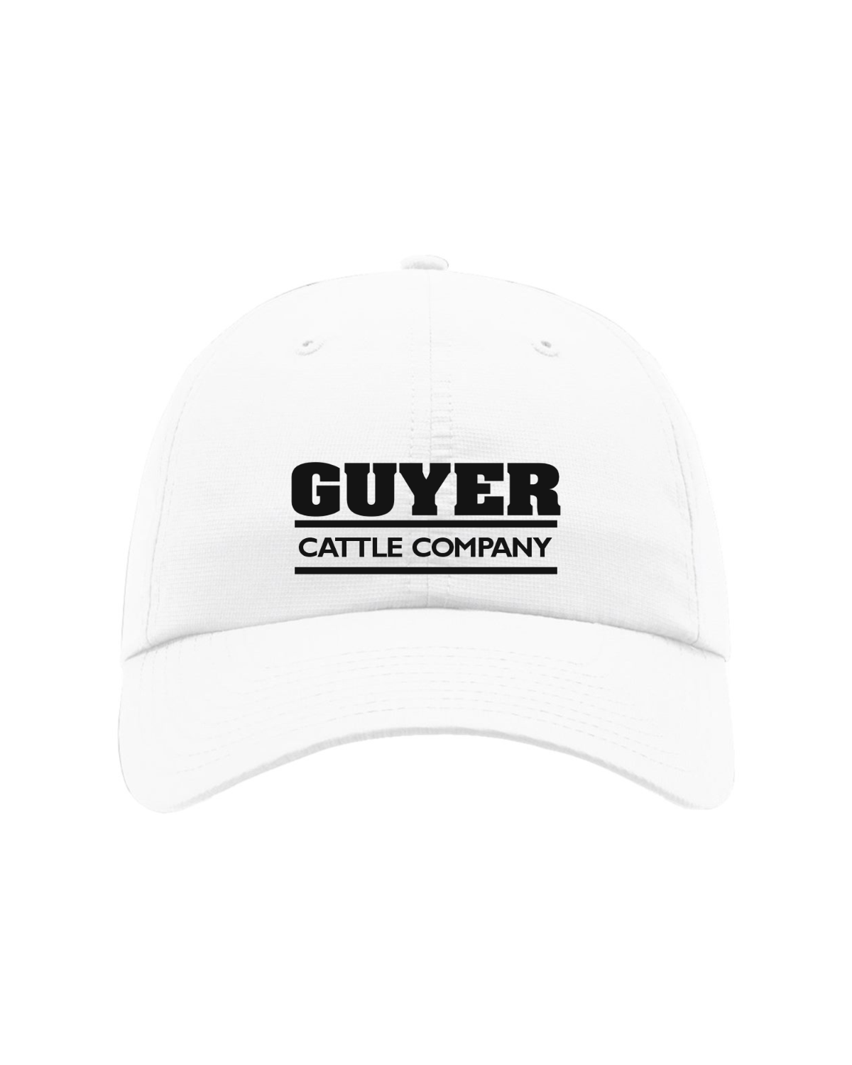 Richardson 220 - Retro Logo (Guyer)