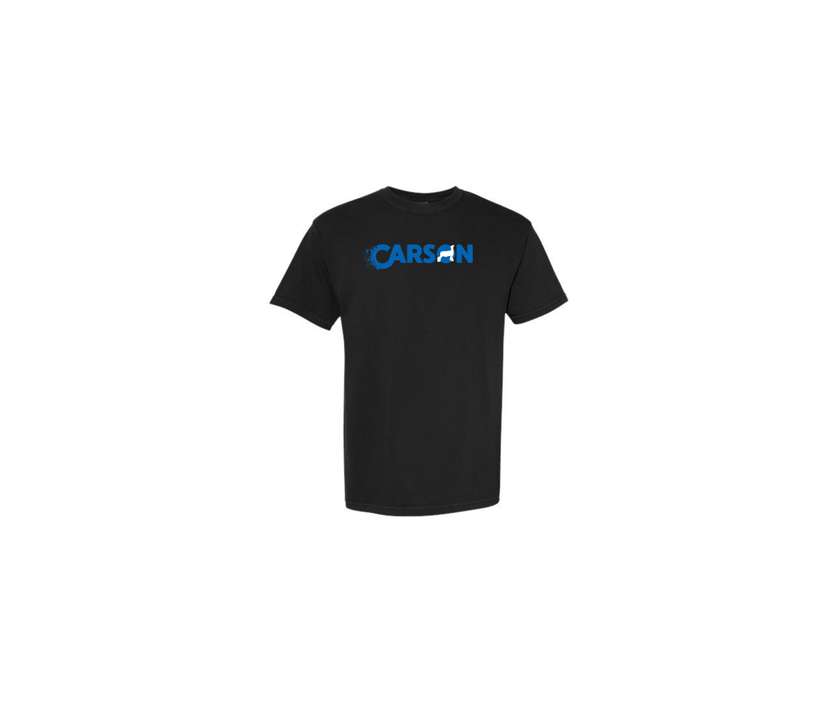Black Garment-Dyed T-Shirt - Adult (Carson)