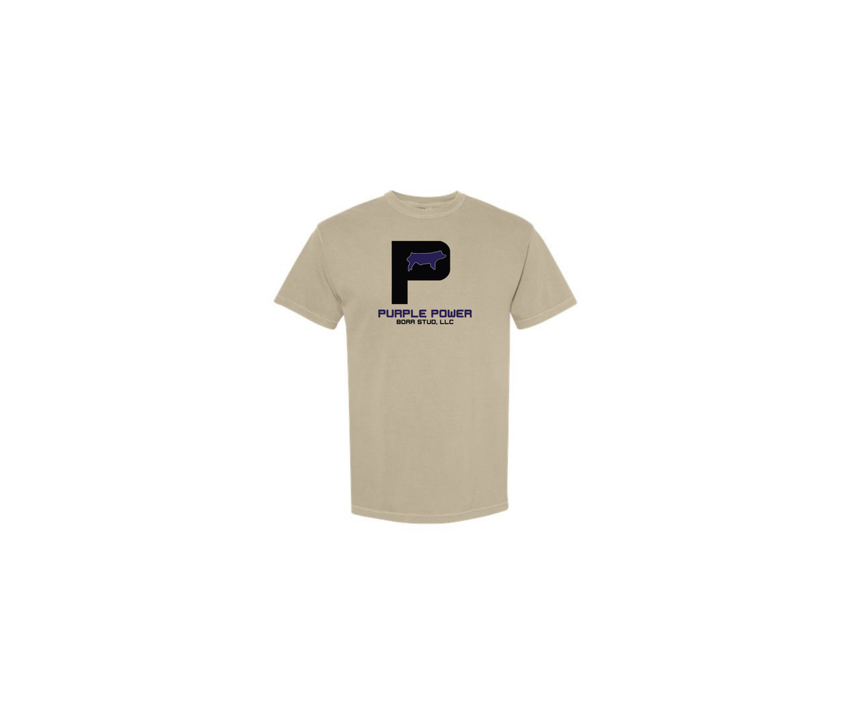 Comfort Colors Garment Dyed Tee - Adult & Youth (Purple Power)