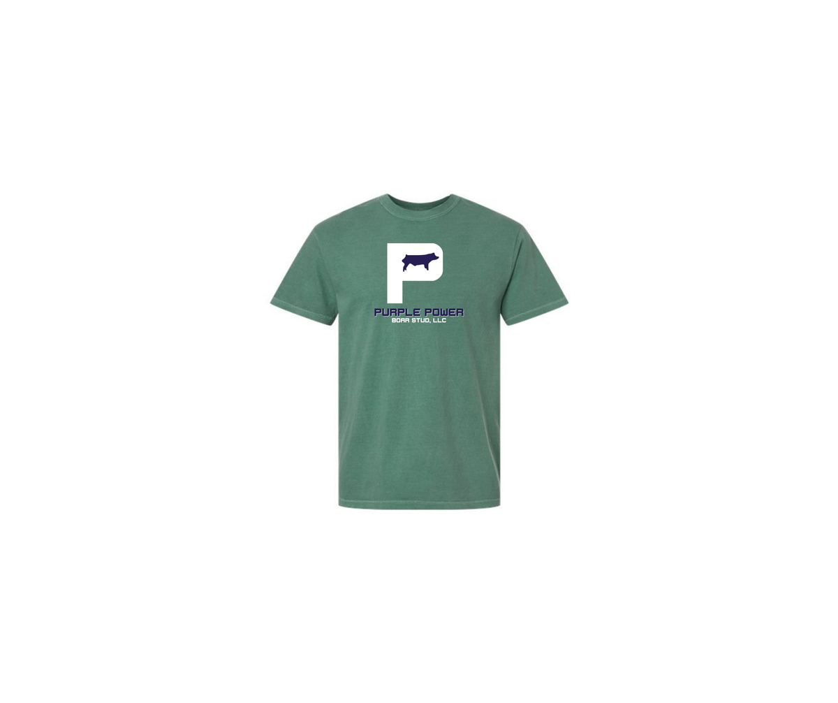 Comfort Colors Garment Dyed Tee - Adult & Youth (Purple Power)