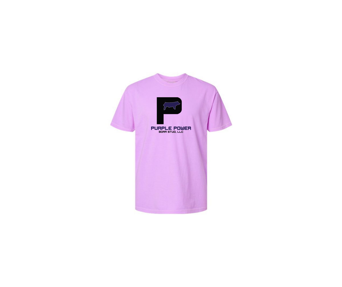 Comfort Colors Garment Dyed Tee - Adult & Youth (Purple Power)