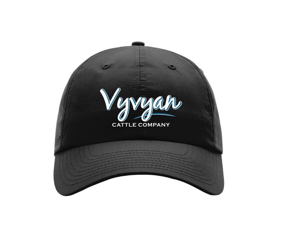 Richardson 220 {Vyvyan}