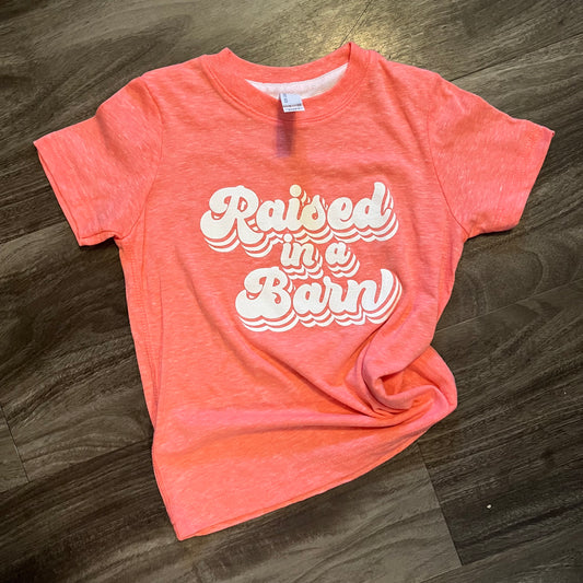 Raised in a Barn Tee - Toddler {More Barns}