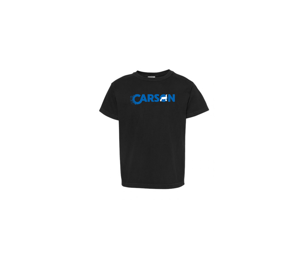 Youth Black Garment-Dyed T-Shirt - Youth (Carson)