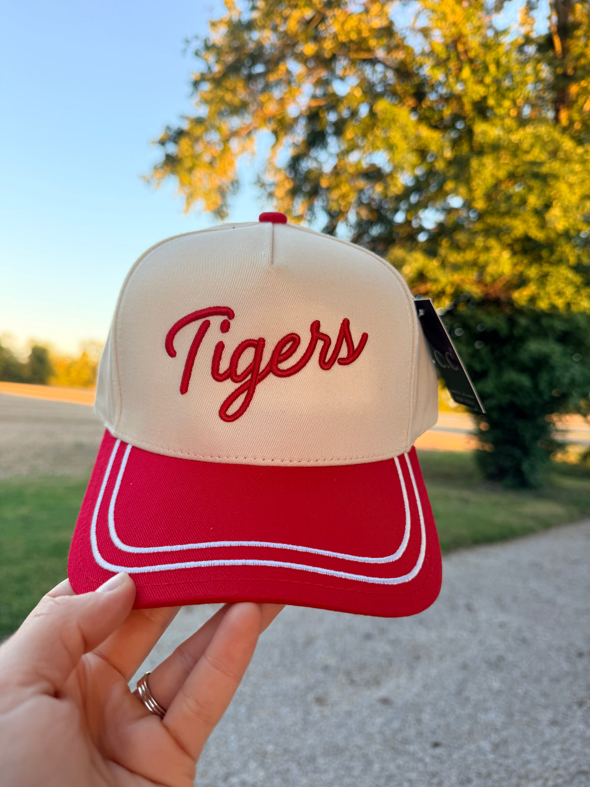 Striped Tigers Trucker Hat