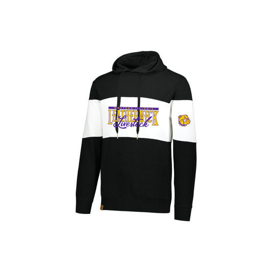 All American Colorblock Hoodie - Adult (WIU)