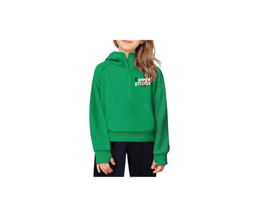 Girls Half Zip Sweatshirt Fleece Hooded Pullover - Danner (Girls)