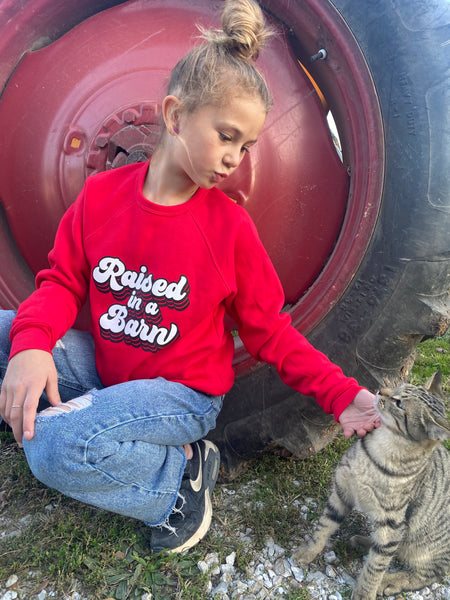Red Raised in a Barn Crewneck - Youth (More Barns)