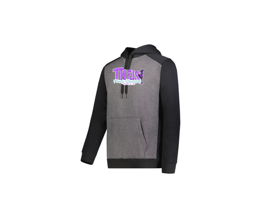 TFSS Three Seasons Hoodie - Adult & Youth (Theis)