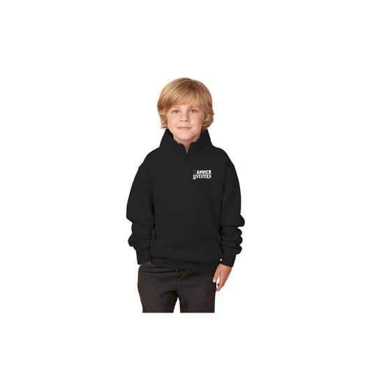 Youth 1/4 Zip Pullover - Youth (Danner)