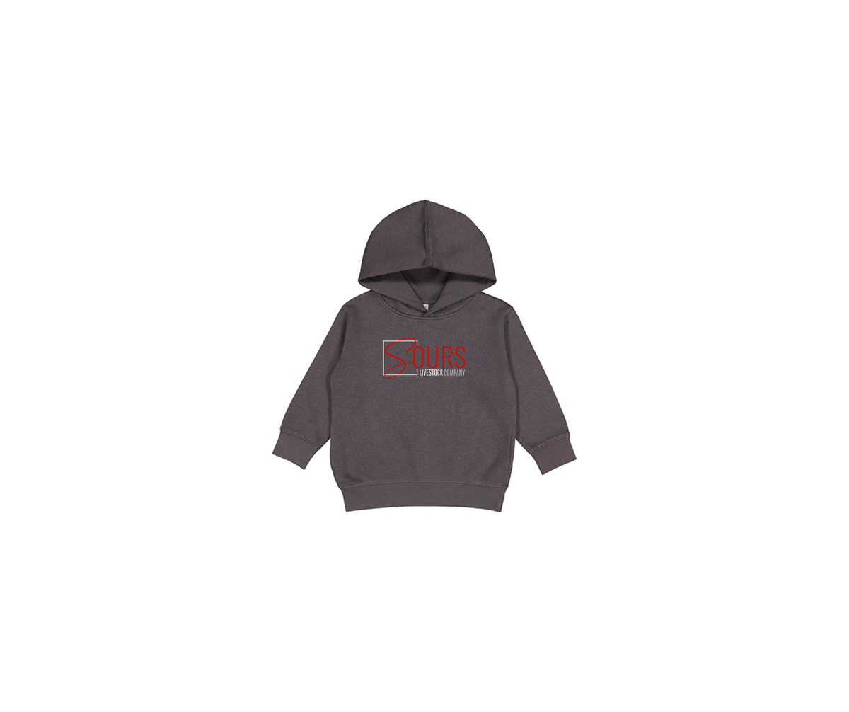 Toddler Pullover Fleece Hoodie {Sours}