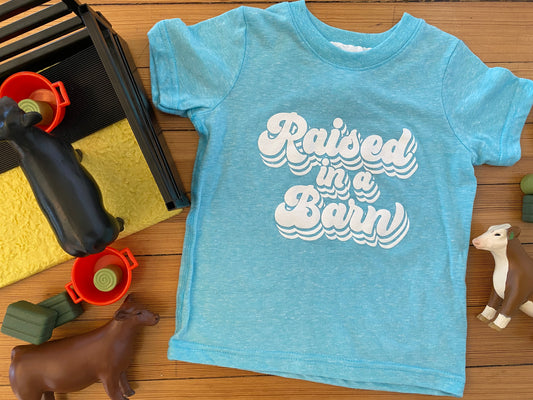 Raised in a Barn Tee - Toddler {More Barns}